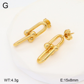 2E2005816aajl-703  Stainless Steel Earrings
