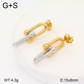 2E2005817aajo-703  Stainless Steel Earrings