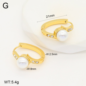 2E3003421aakl-703  Stainless Steel Earrings
