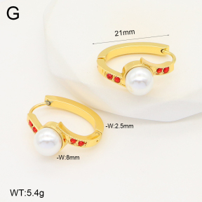 2E3003422aakl-703  Stainless Steel Earrings