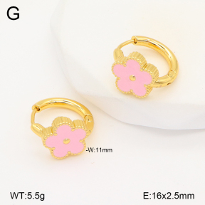 2E3003423aajo-703  Stainless Steel Earrings