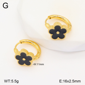 2E3003424aajo-703  Stainless Steel Earrings