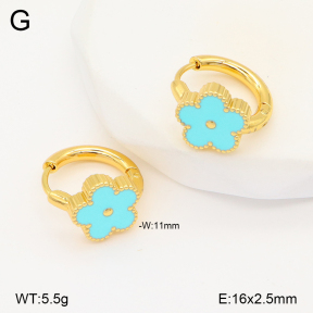 2E3003425aajo-703  Stainless Steel Earrings