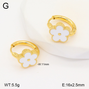 2E3003426aajo-703  Stainless Steel Earrings