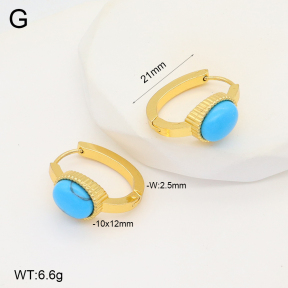 2E4004279aakl-703  Stainless Steel Earrings