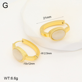2E4004280aakl-703  Stainless Steel Earrings
