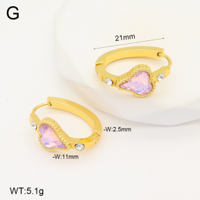2E4004282aakl-703  Stainless Steel Earrings
