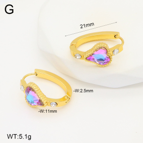 2E4004283aakl-703  Stainless Steel Earrings