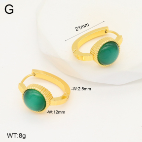 2E4004284aakl-703  Stainless Steel Earrings