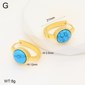 2E4004285aakl-703  Stainless Steel Earrings