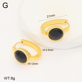 2E4004286aakl-703  Stainless Steel Earrings