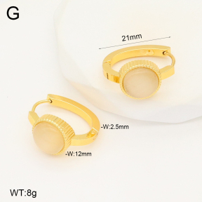 2E4004287aakl-703  Stainless Steel Earrings