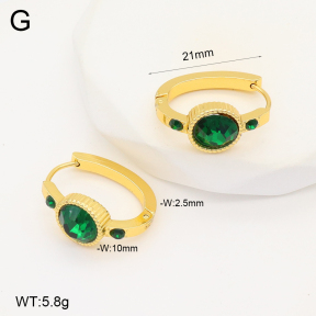 2E4004288aakl-703  Stainless Steel Earrings