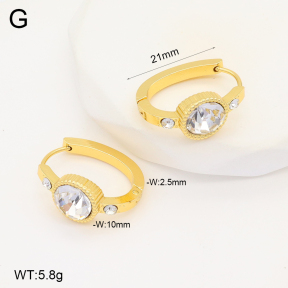 2E4004289aakl-703  Stainless Steel Earrings