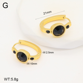 2E4004290aakl-703  Stainless Steel Earrings