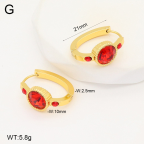 2E4004291aakl-703  Stainless Steel Earrings
