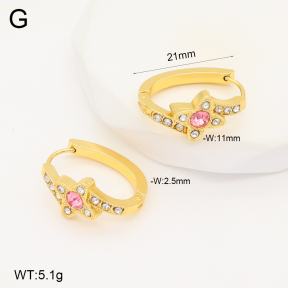 2E4004292aakl-703  Stainless Steel Earrings