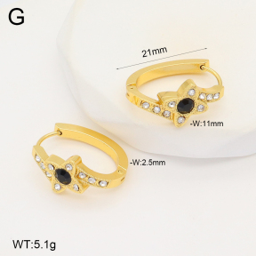 2E4004293aakl-703  Stainless Steel Earrings