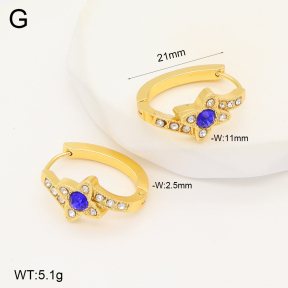 2E4004295aakl-703  Stainless Steel Earrings