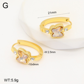 2E4004296aakl-703  Stainless Steel Earrings