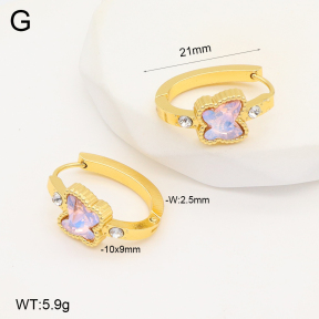 2E4004297aakl-703  Stainless Steel Earrings