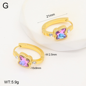 2E4004298aakl-703  Stainless Steel Earrings