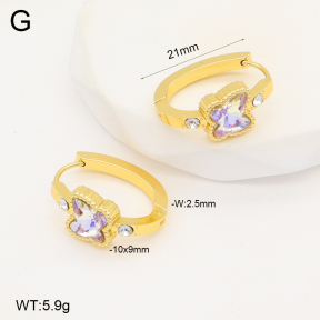 2E4004299aakl-703  Stainless Steel Earrings
