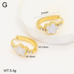 2E4004300aakl-703  Stainless Steel Earrings