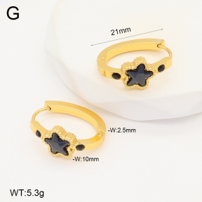 2E4004302aakl-703  Stainless Steel Earrings