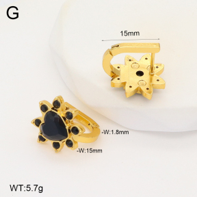 2E4004304aakl-703  Stainless Steel Earrings