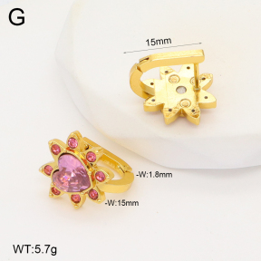 2E4004305aakl-703  Stainless Steel Earrings