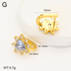 2E4004306aakl-703  Stainless Steel Earrings