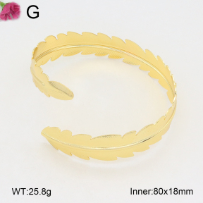 F2AB00008bblo-J121  Iron  Fashion Bangle