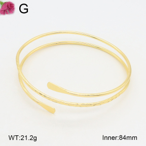 F2AB00009ablb-J121  Iron  Fashion Bangle