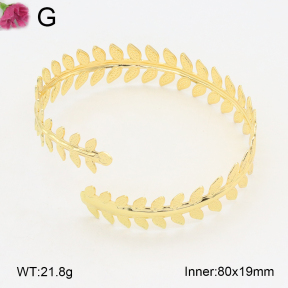 F2AB00010bblo-J121  Iron  Fashion Bangle