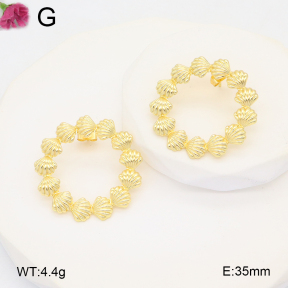 F2E201864vail-J121  Iron  Fashion Earrings