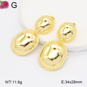 F2E201872avja-J121  Iron  Fashion Earrings