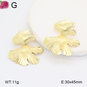 F2E201892vail-J121  Iron  Fashion Earrings