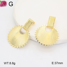 F2E201905vail-J121  Iron  Fashion Earrings