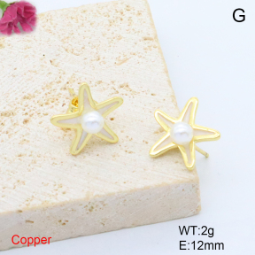 F6E302002baka-L017  Fashion Copper Earrings