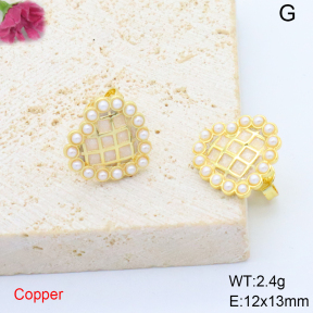 F6E405653ablb-L017  Fashion Copper Earrings