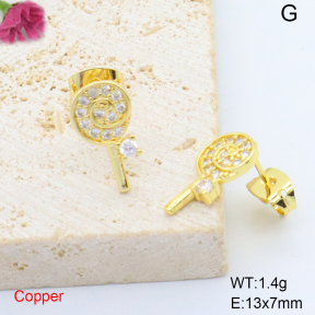 F6E405654ablb-L017  Fashion Copper Earrings