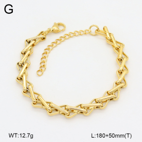2B2004023vbpb-452  Stainless Steel Bracelet