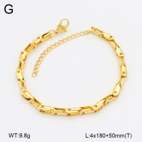2B2004025vbnb-452  Stainless Steel Bracelet