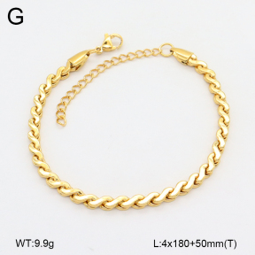 2B2004036vbnb-452  Stainless Steel Bracelet