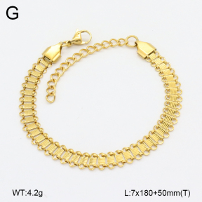 2B2004047vbll-452  Stainless Steel Bracelet