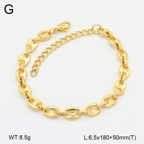 2B2004048vbpb-452  Stainless Steel Bracelet