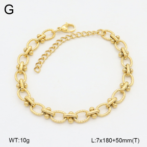 2B2004051vbpb-452  Stainless Steel Bracelet