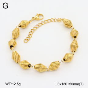 2B2004053abol-452  Stainless Steel Bracelet