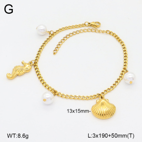 2B3003864abol-743  Stainless Steel Bracelet